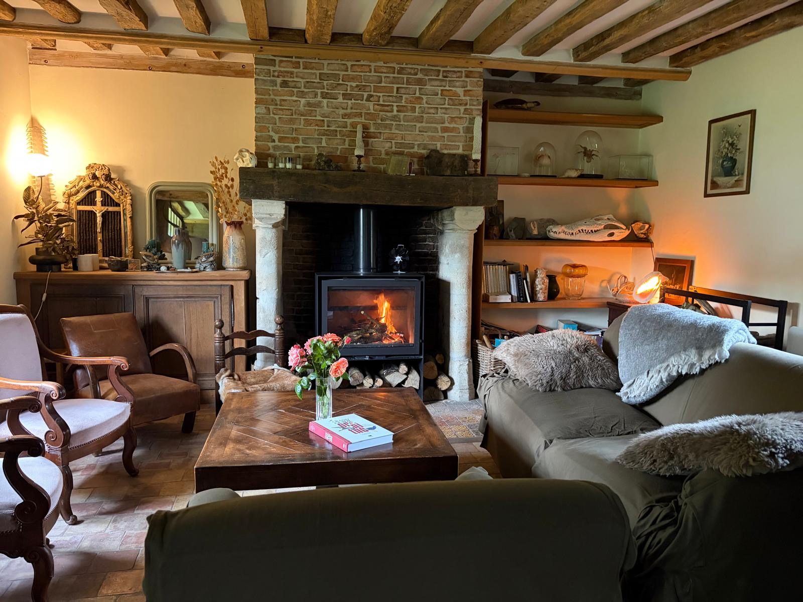 Salon avec cheminee et poele a bois
